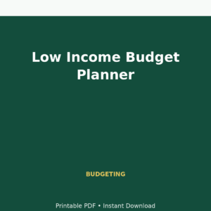 MoneyFlows Low Income Budget Planner